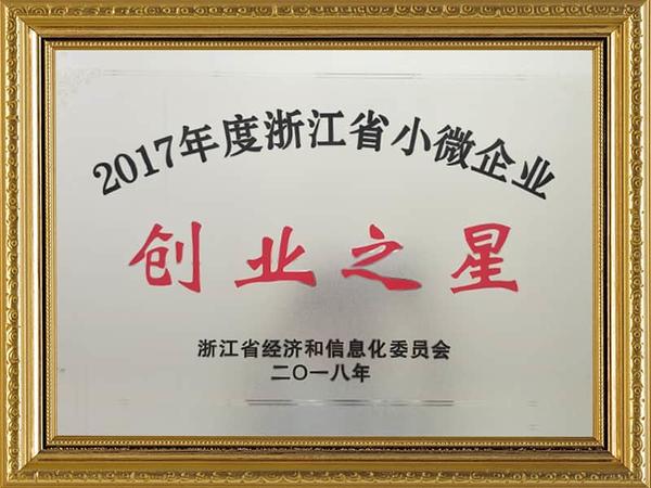 Estrella del espíritu empresarial de pequeñas y microempresas de Zhejiang 2017